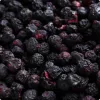 Organica Food - Bio Fagyasztva Szárított Áfonya