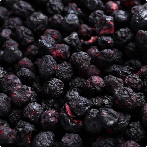 Organica Food - Bio Fagyasztva Szárított Áfonya