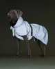 PAIKKA - Reflective Shell Jacket Green – fényvisszaverő, vízálló kutyakabát