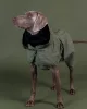 PAIKKA - Reflective Shell Jacket Green – fényvisszaverő, vízálló kutyakabát