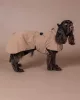 PAIKKA - Visibility Raincoat Lite Taupe – fényvisszaverő, vízálló kutyakabát