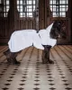 PAIKKA - Visibility Raincoat Lite Taupe – fényvisszaverő, vízálló kutyakabát
