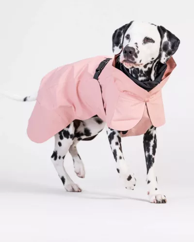 PAIKKA - Visibility Raincoat Lite Rose – fényvisszaverő, vízálló kutyakabát