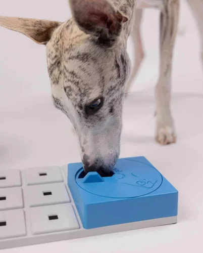 PAWZLER - logikai játék bővítő - OLI