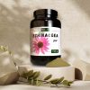 Quebeck - Echinacea por