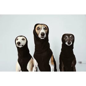 Polár Pulóver- egyedi méretre agaraknak