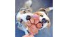 SmoothieDog - Szilikon fagyiforma kutyáknak