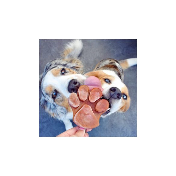 SmoothieDog - Szilikon fagyiforma kutyáknak