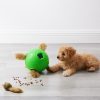 Nina Ottosson  - Dog Snuffle N' Treat Ball