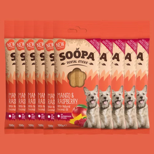 SOOPA – Mango & Raspberry Dental Sticks
