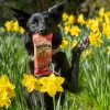 SOOPA – Mango & Raspberry Dental Sticks