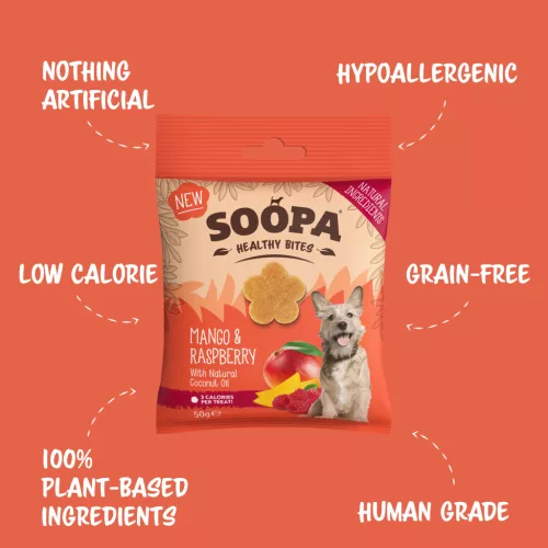 SOOPA - Mango & Raspberry Healthy Bites