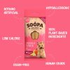 SOOPA - Banana & Pumpkin Dental Sticks for Mini Dogs