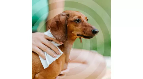 Tickless® Természetes kullancs, bolha és szúnyogriasztó nedves törlőkendő