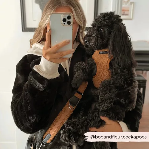 Cocopup London - Teddy Paddington táska szíj