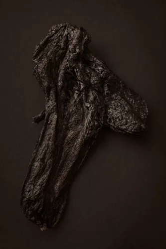 Whizzopet - Szárított strucc tüdő