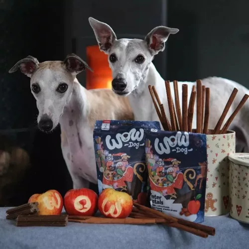 WOW Pet - Téli fogtisztító rágók – Almás rétes ízű